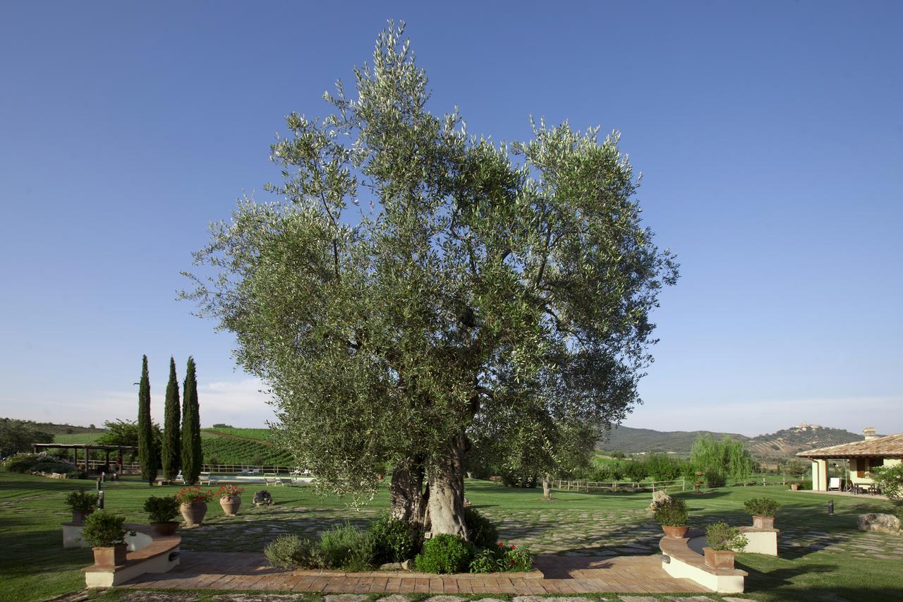Il casale degli olivi Villa Capalbio Esterno foto